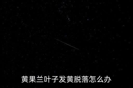黄果兰叶子发黄脱落怎么办