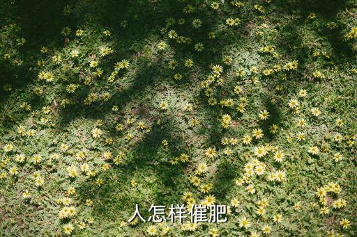 人怎样催肥