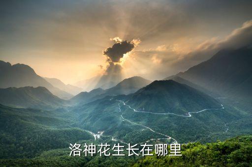 洛神花图片，洛神花是开花一之后才能采摘吗开花之前不能采摘吧