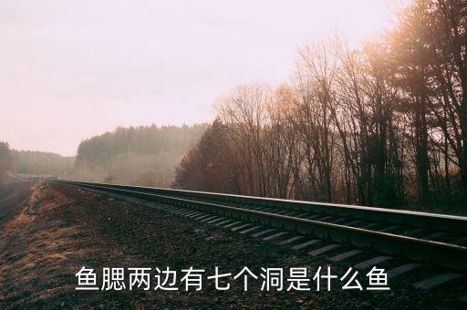 鱼腮两边有七个洞是什么鱼