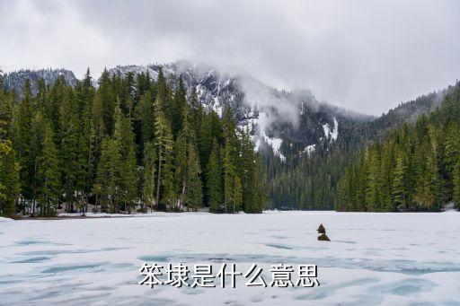 笨埭是什么意思