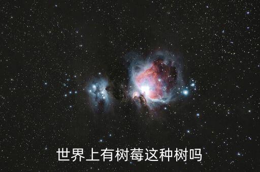 树莓树图片，世界上有树莓这种树吗
