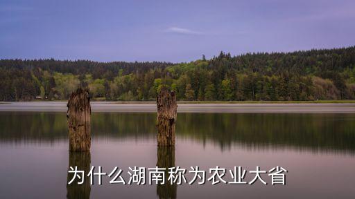 为什么湖南称为农业大省