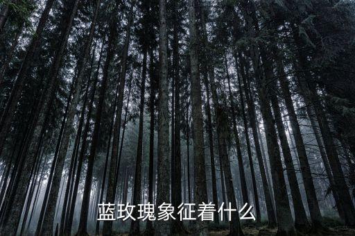 蓝玫瑰代表什么意思，蓝玫瑰是代表什么含义的