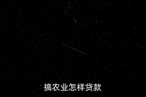 搞农业怎样贷款