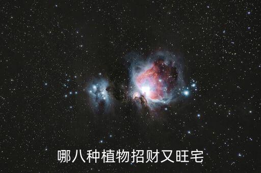 哪八种植物招财又旺宅