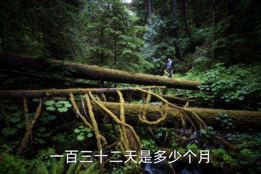 一百三十二天是多少个月