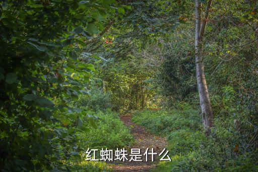 红蜘蛛，红蜘蛛是什么