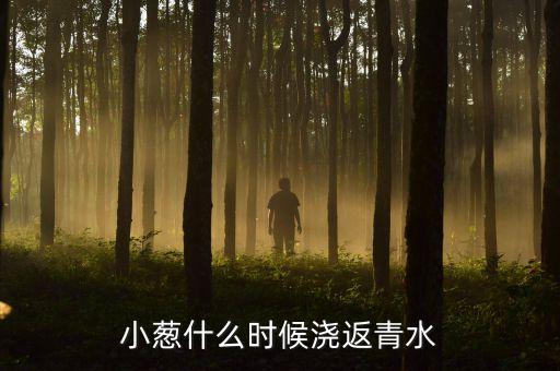 返青水，小葱什么时候浇返青水