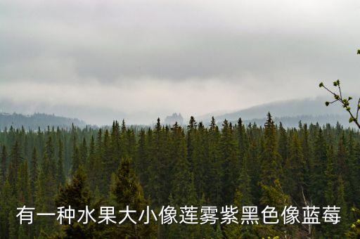 有一种水果大小像莲雾紫黑色像蓝莓