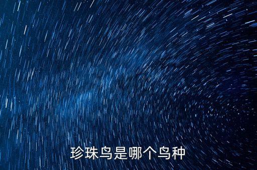 珍珠鸟，珍珠鸟是哪个鸟种