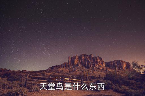 天堂鸟鸟类，天堂鸟是什么东西