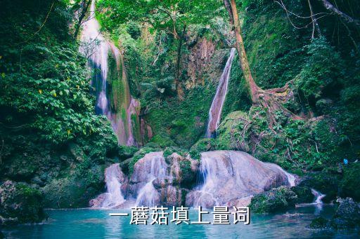 一什么蘑菇，填适当的量词一 蘑菇