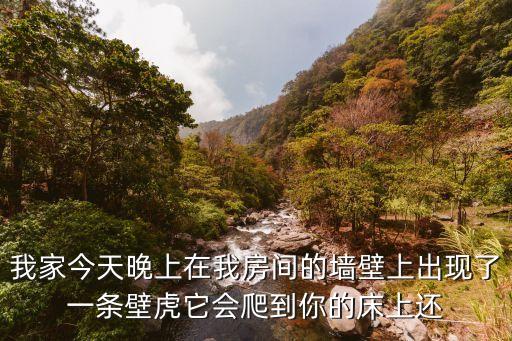 我家今天晚上在我房间的墙壁上出现了一条壁虎它会爬到你的床上还