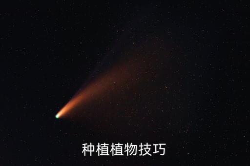 种植植物技巧
