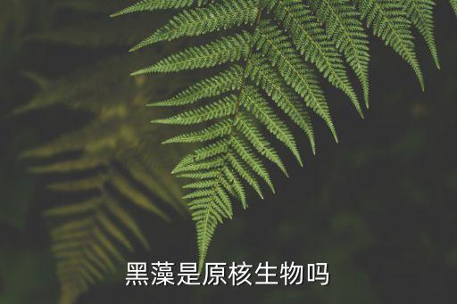 黑藻，黑藻是不是真核生物
