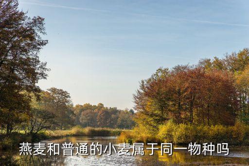 燕麦和普通的小麦属于同一物种吗