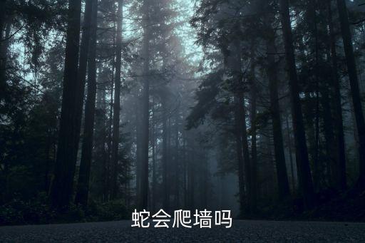 蛇会爬墙吗