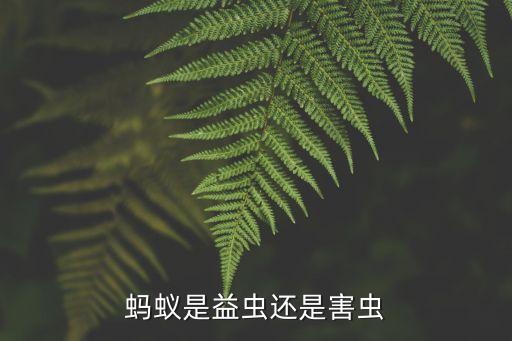 蚂蚁是益虫吗，蚂蚁是益虫吗