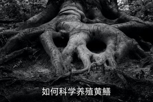 如何科学养殖黄鳝