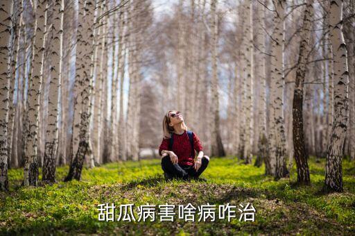 甜瓜病害啥病咋治