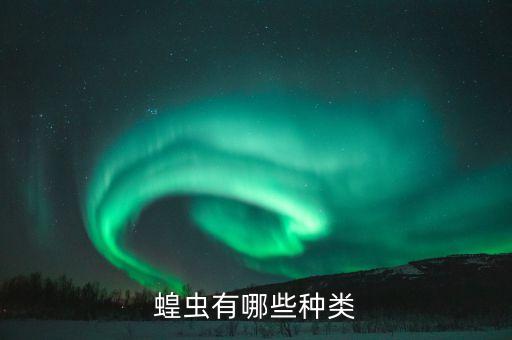 蝗虫有哪些种类