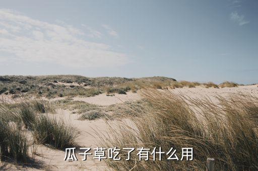 瓜子草吃了有什么用