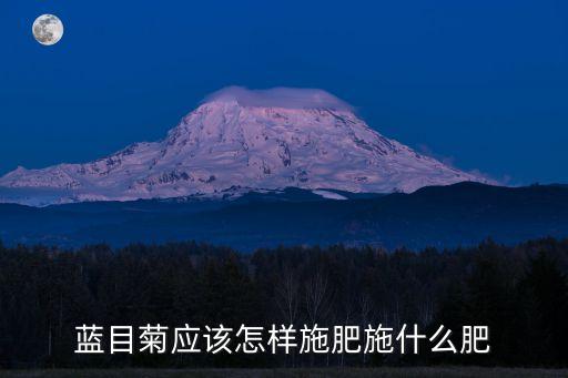 蓝目菊应该怎样施肥施什么肥