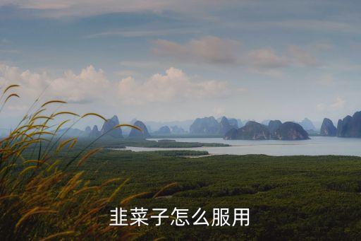 韭菜子怎么服用