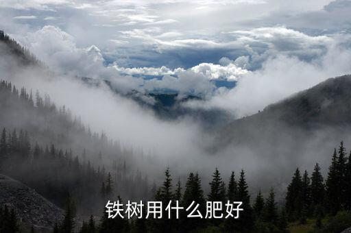 铁树用什么肥料比较好，铁树应该喂什么肥料