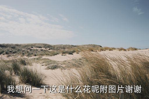 我想问一下这是什么花呢附图片谢谢