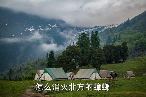 怎么消灭北方的蟑螂