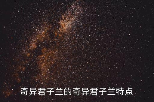 奇异君子兰的奇异君子兰特点