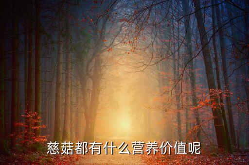 慈菇，什么是慈菇