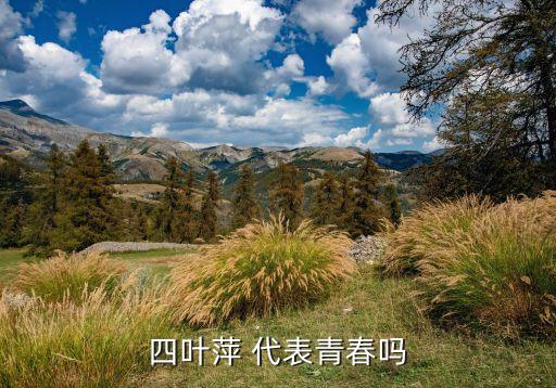 四叶萍，四叶萍 代表青春吗