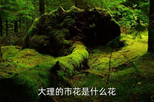 大理的市花是什么花