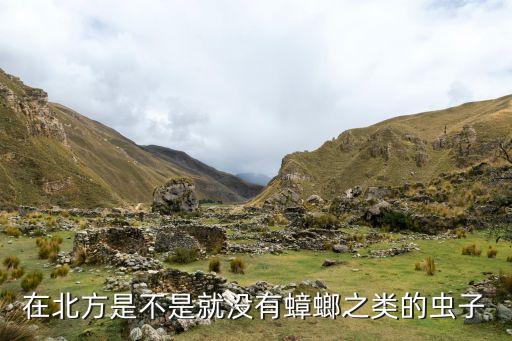 在北方是不是就没有蟑螂之类的虫子