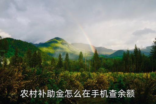 云南农村农业补助怎么查询，那个农村补贴网上能查