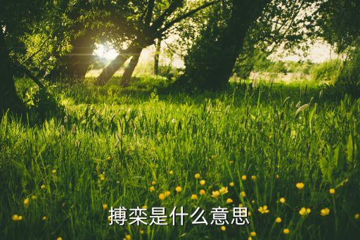 搏栾是什么意思