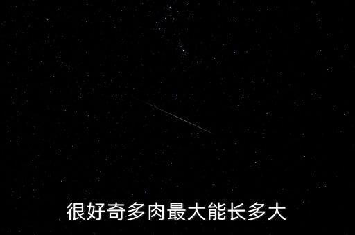多肉能长多大，很好奇多肉最大能长多大
