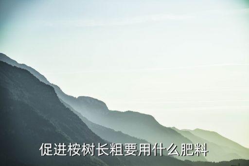 桉树专用肥，桉树施什么肥