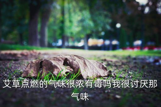 艾叶有毒性吗，家里种植的艾有毒吗