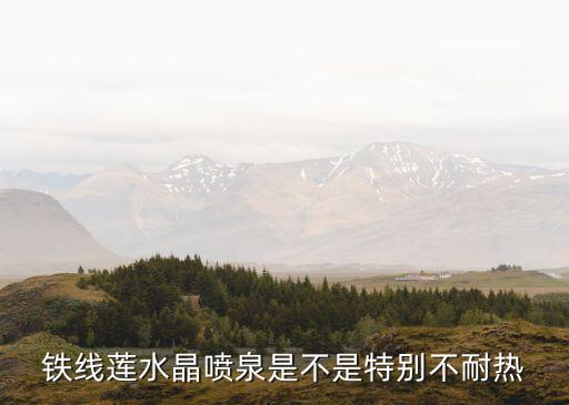魔法喷泉铁线莲，铁线莲单瓣的还是双瓣的好养还是都一样