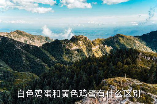 黄鸡子，黄栀子是做什么用的