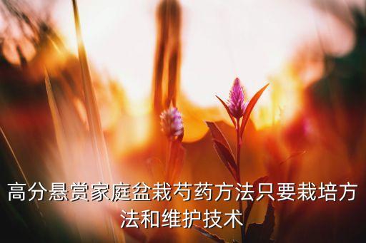 高分悬赏家庭盆栽芍药方法只要栽培方法和维护技术