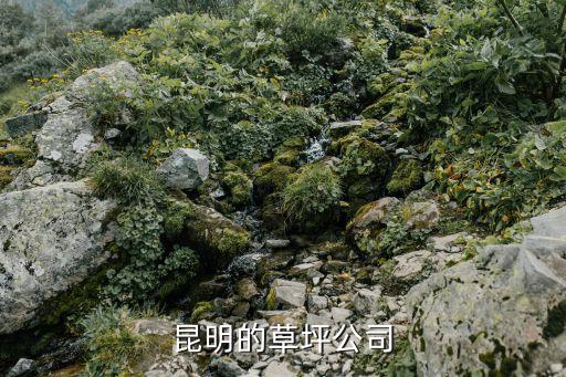 昆明的草坪公司