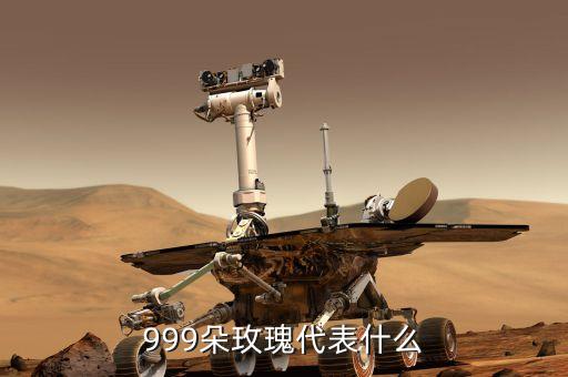 999朵玫瑰代表什么