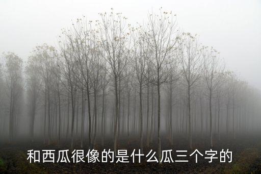 绿宝瓜，和西瓜很像的是什么瓜三个字的