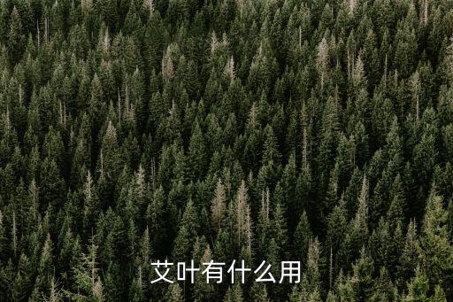 艾叶有什么用