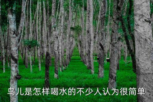 鸟儿是怎样喝水的不少人认为很简单